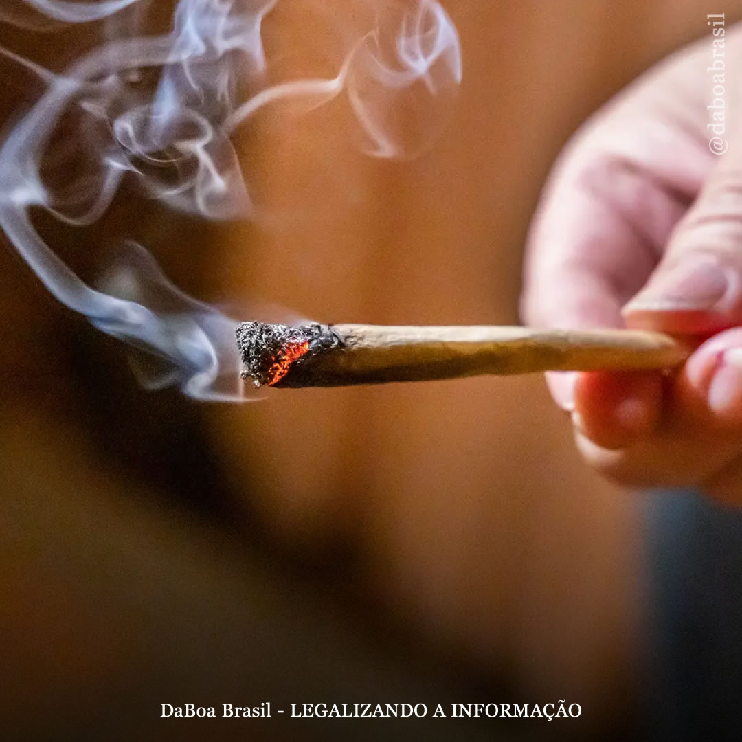 Uso de maconha não está associado ao declínio posterior do QI, diz estudo