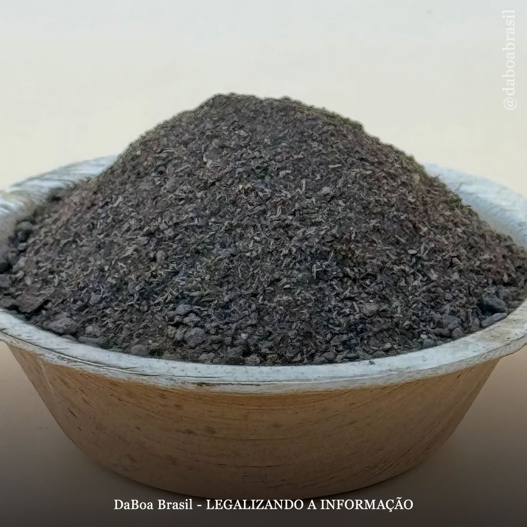 EUA: dois homens morrem após utilizar guano de morcego como fertilizante para cultivar maconha