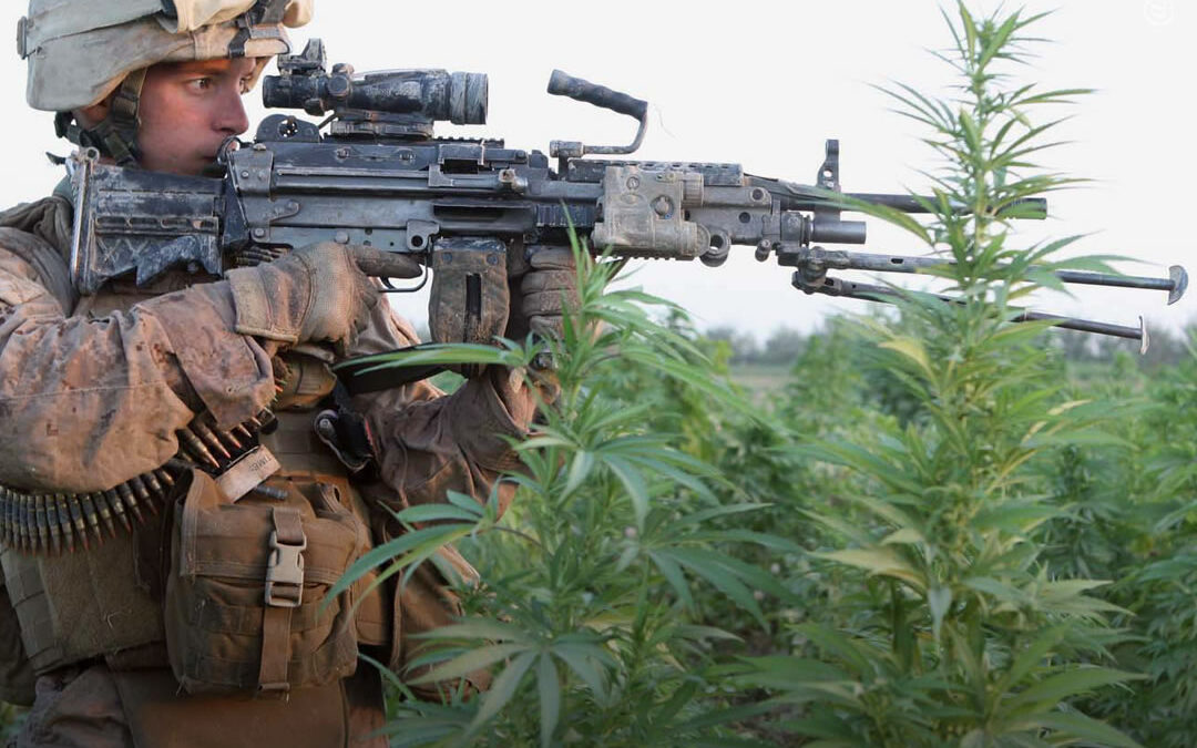 EUA gastaram quase US$ 13 bilhões para financiar a guerra global contra as drogas na última década, mostra relatório