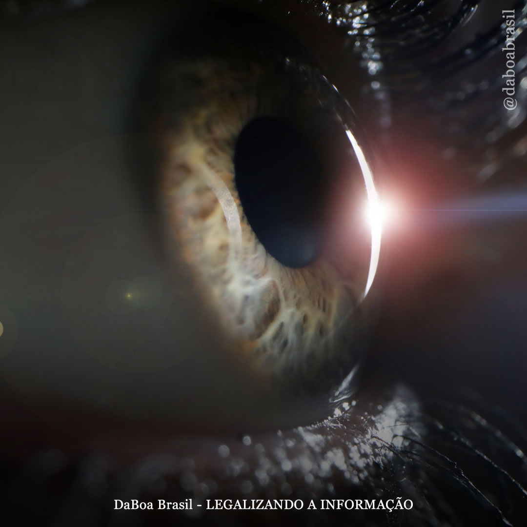 Maconha e glaucoma: tudo o que você precisa saber