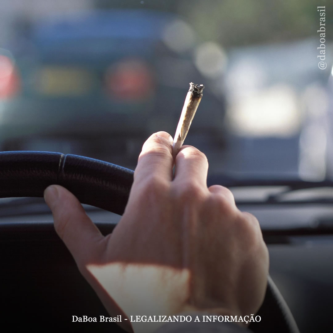 “Não há suporte” para o medo de que a legalização normalize a direção sob efeito da maconha, diz estudo