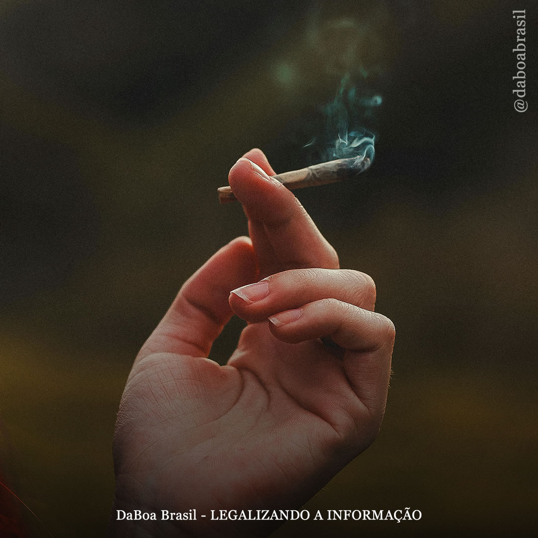 Redução de danos: mitos sobre vícios causados pela maconha