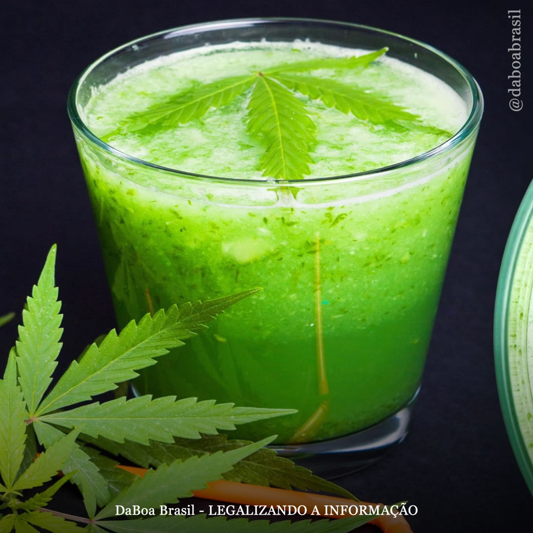 Suco de maconha: o que é e quais os seus benefícios