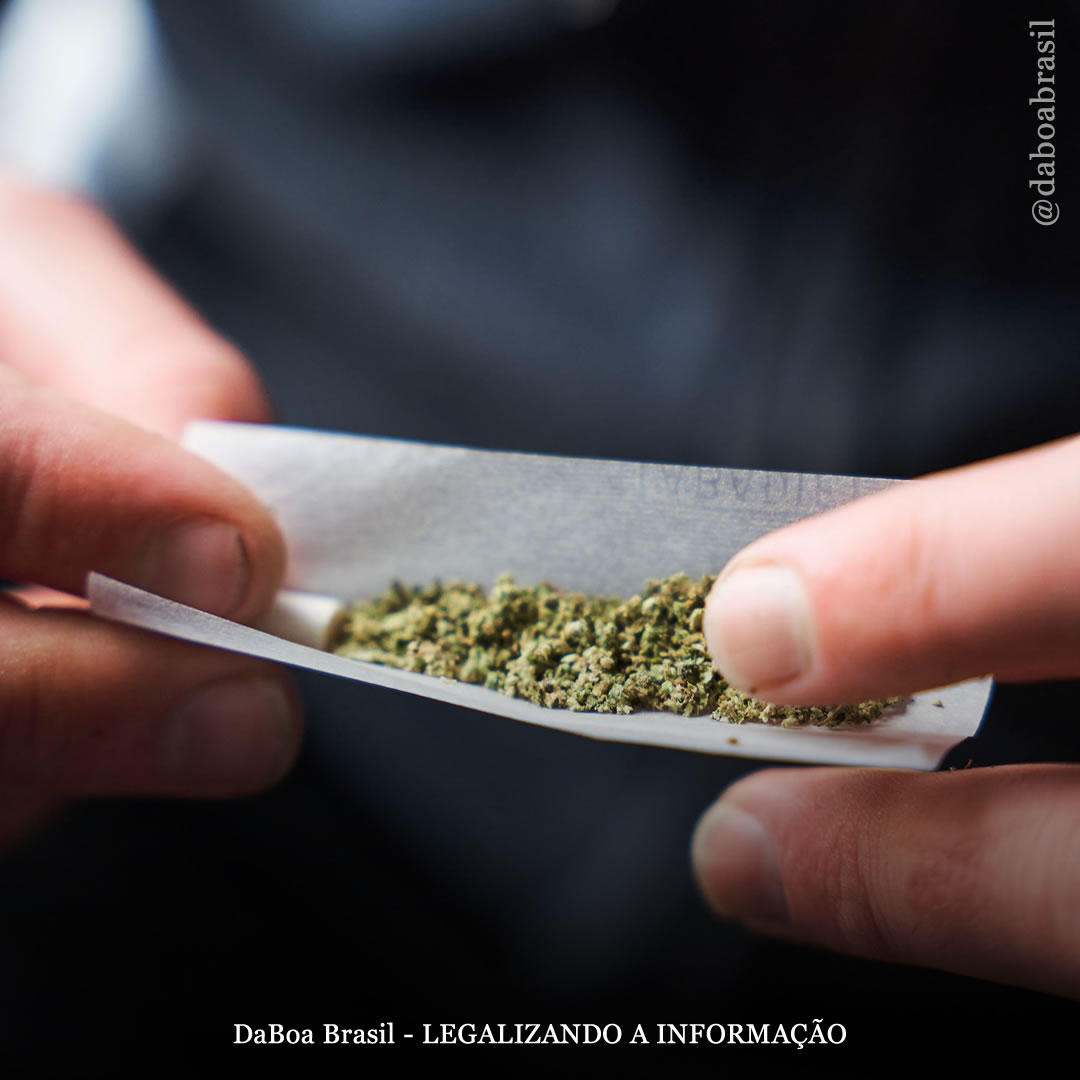 As pessoas são mais ativas fisicamente nos dias em que usam maconha, mostra novo estudo, quebrando o estereótipo do “maconheiro preguiçoso”