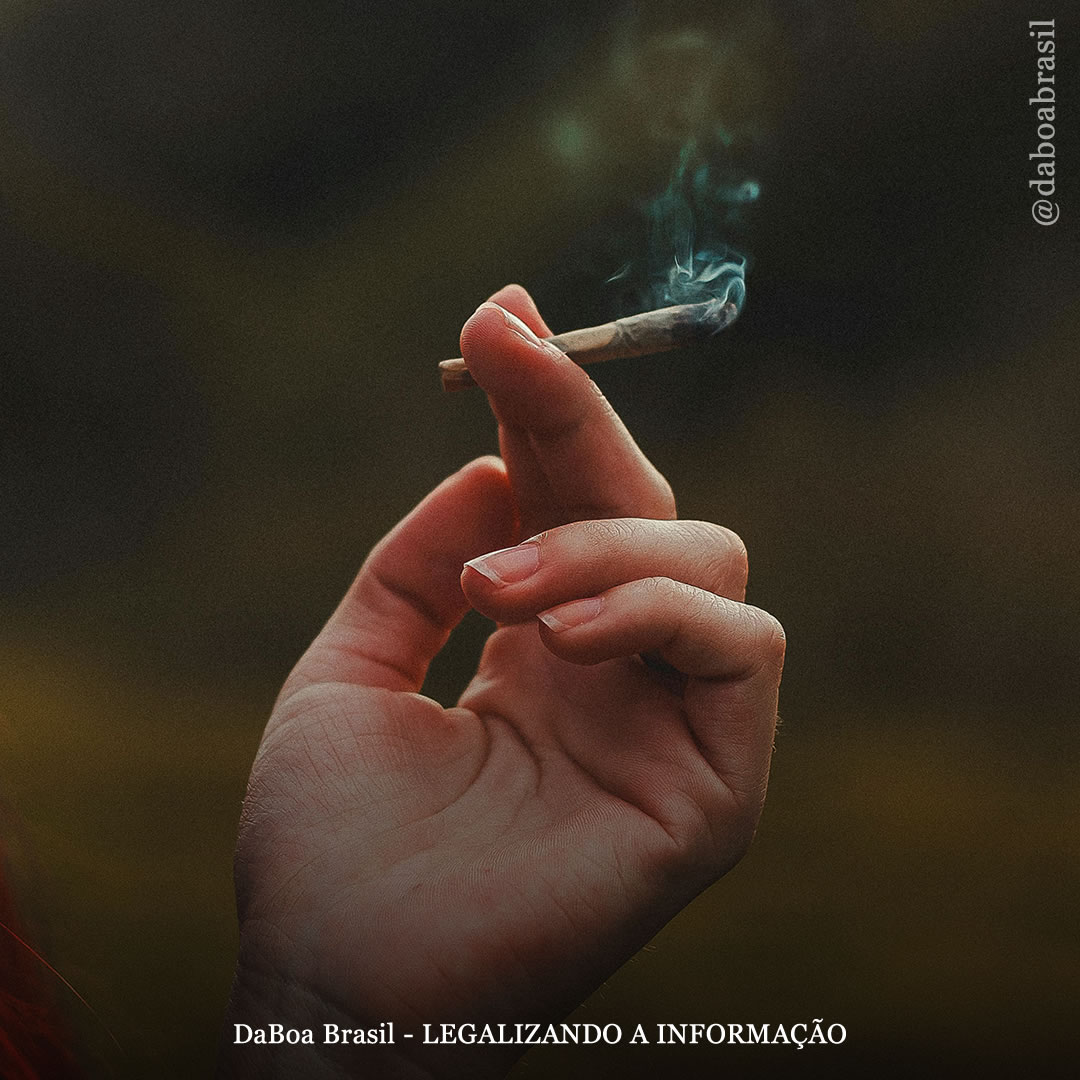 EUA: o uso de maconha entre jovens não aumentou nos estados que legalizaram, e a maioria realmente vê declínios significativos, mostra análise