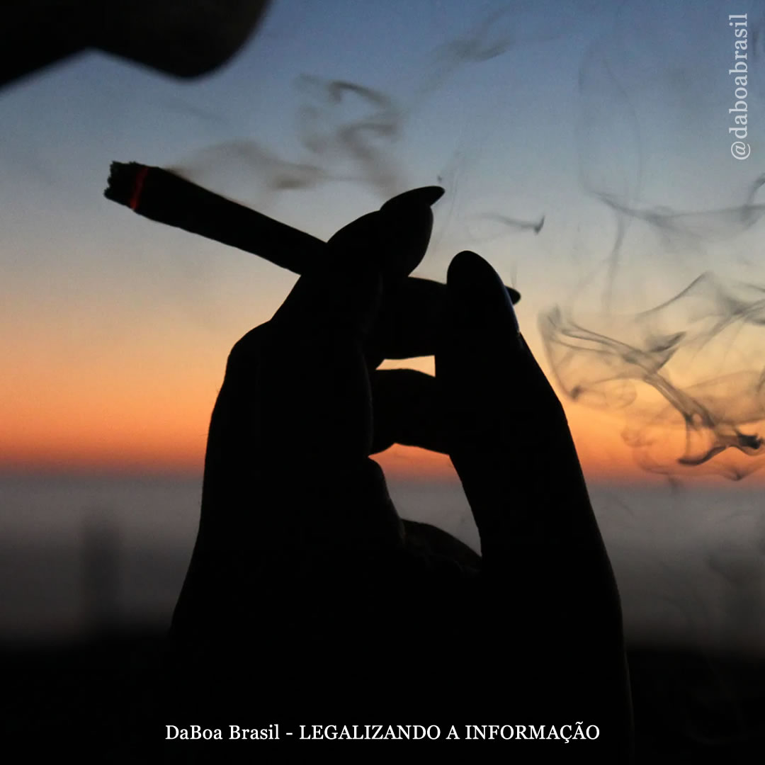 Exposição pré-natal à maconha não está associada a resultados adversos no parto nem a atrasos no desenvolvimento neurológico, mostra análise