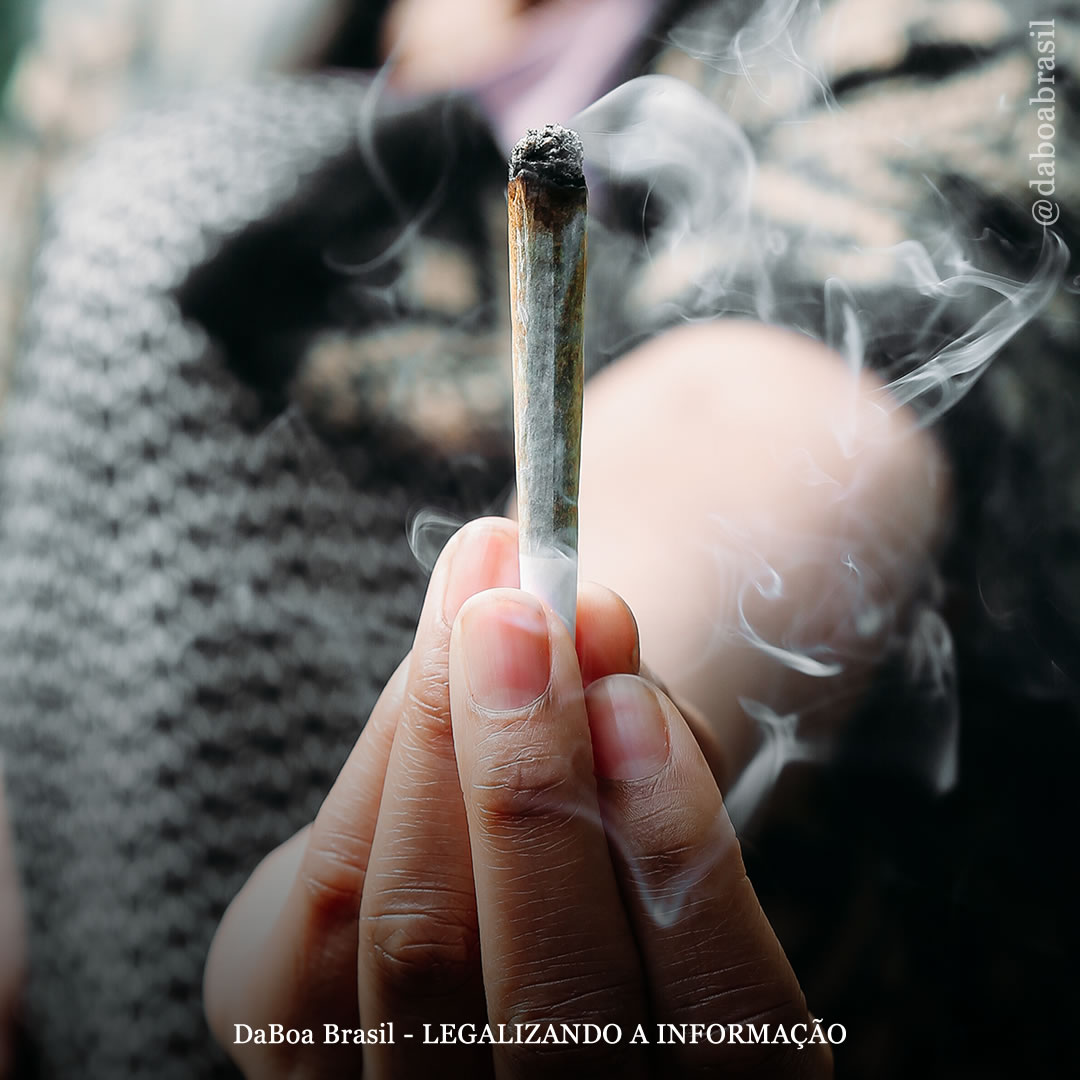Fumar maconha não interfere na regulação emocional, diz estudo