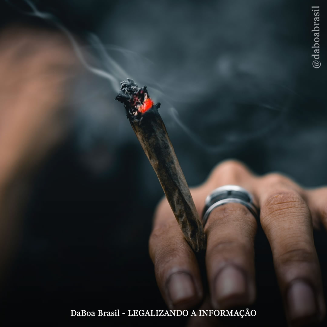 Funcionários não têm mais probabilidade de consumir maconha durante o horário de trabalho após a legalização, mostra análise