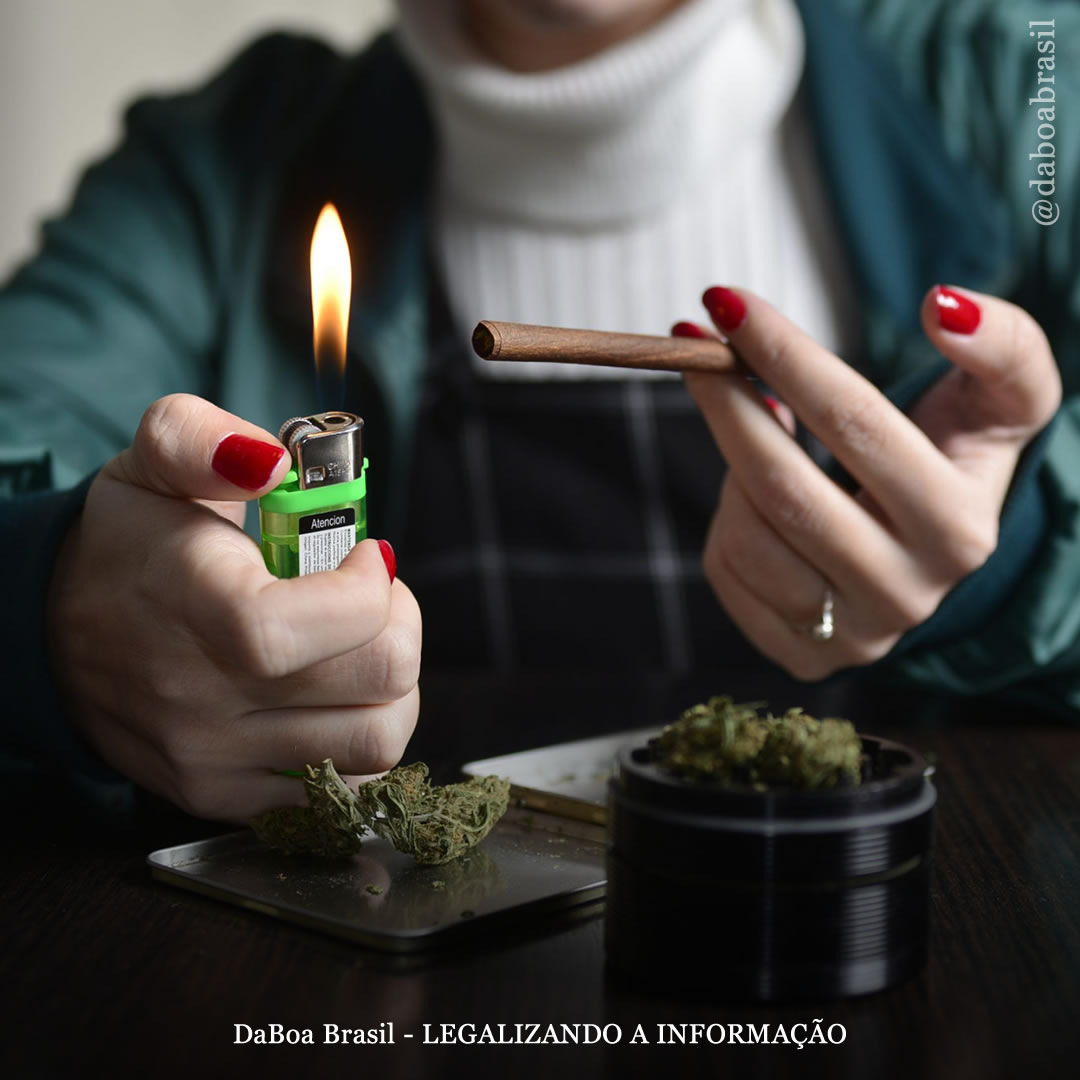 A maconha ajuda as mães a serem “mais presentes” e a desenvolver “relacionamentos positivos com seus filhos”, diz estudo