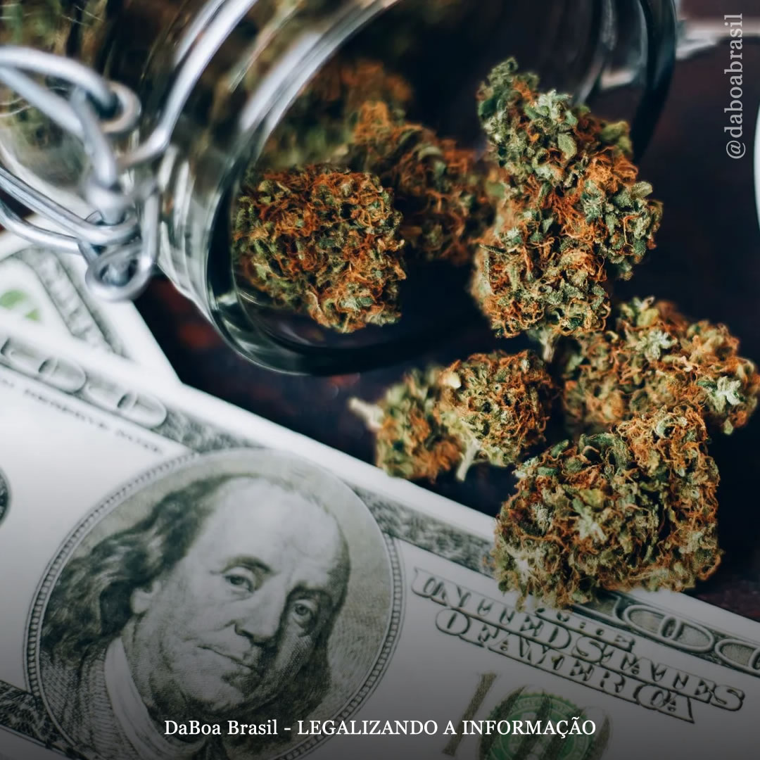 EUA: Michigan distribui US$ 100 milhões arrecadados de vendas legais de maconha a cidades e comunidades indígenas