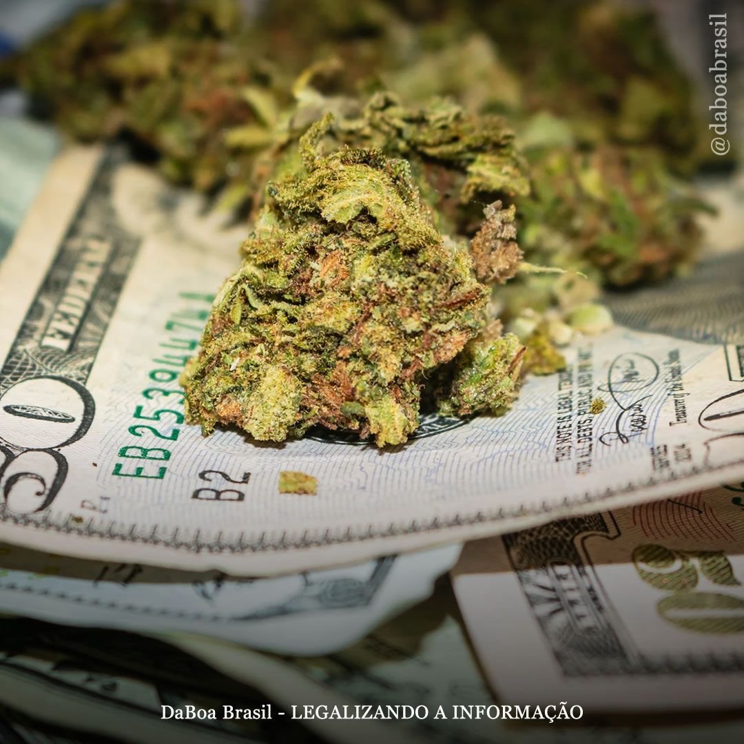 EUA: Nova York lança programa de subsídios para ajudar dispensários de maconha administrados por pessoas prejudicadas pela criminalização