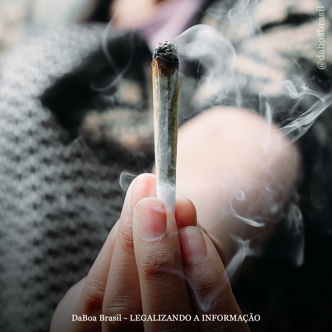 Vendas de maconha no varejo estão associadas à redução do consumo de álcool e tabaco entre jovens adultos, diz estudo
