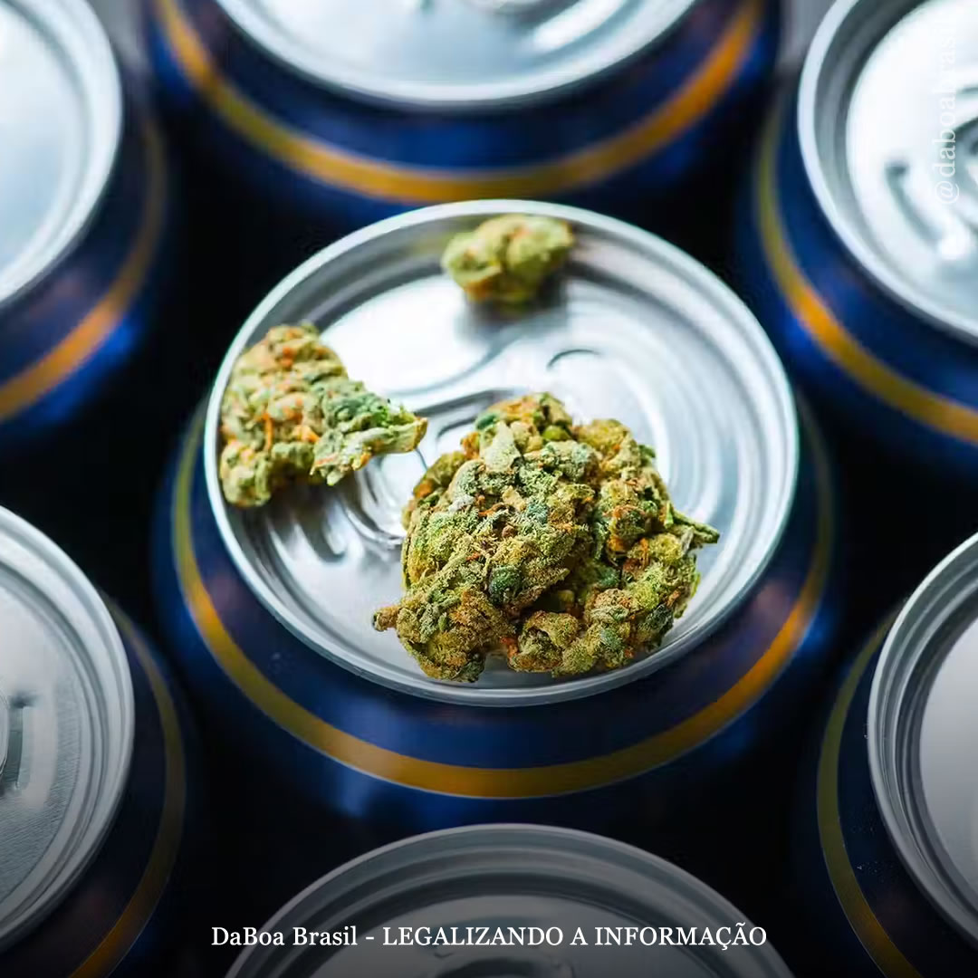 Canadá têm queda histórica nas vendas de álcool com aumento nas vendas de maconha legal, mostra análise