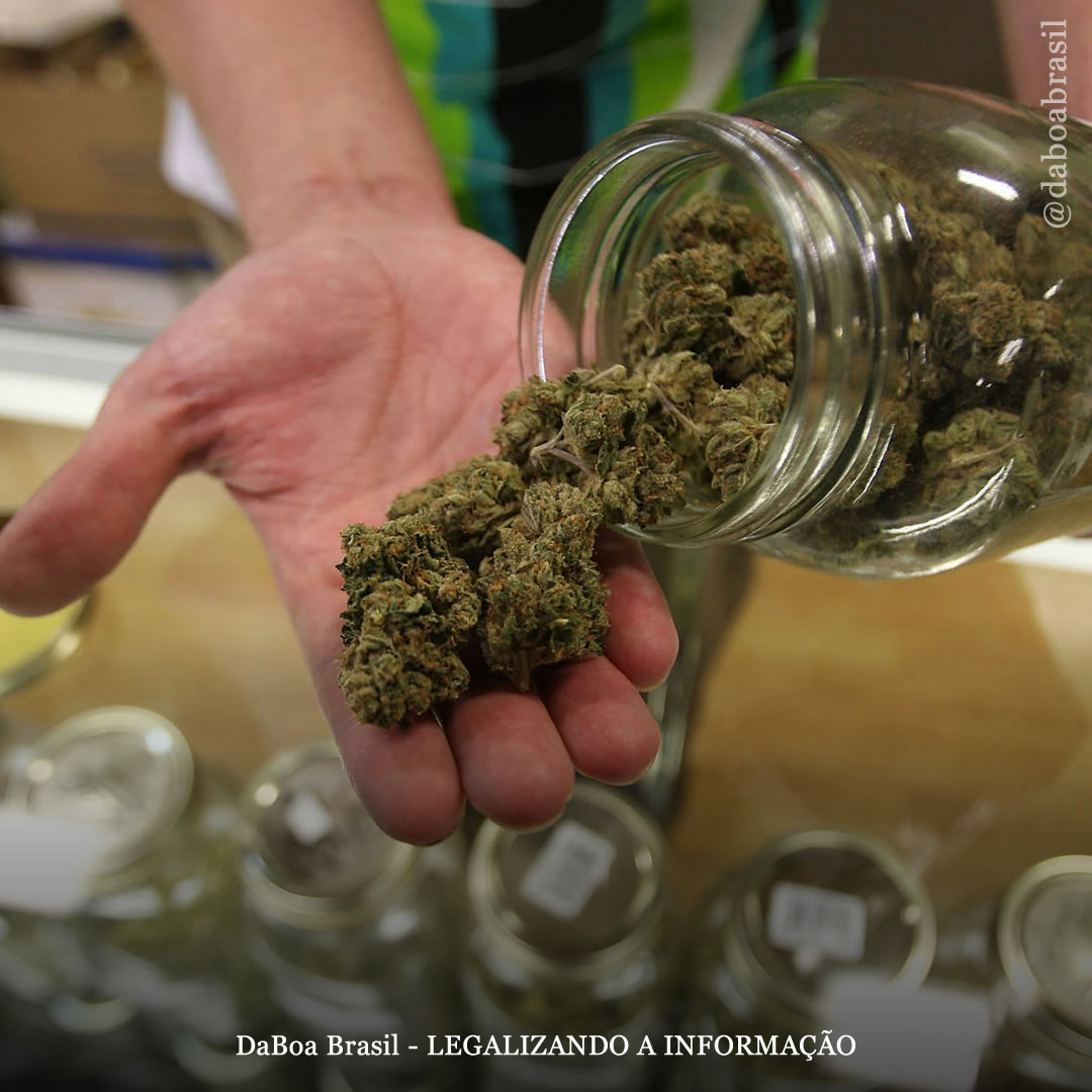 EUA: principal feira agrícola da Califórnia apresentará novamente vendas e consumo de maconha no local, além de competições de baseados, haxixe e chocolate