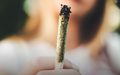Estudo sobre uso adulto da maconha relata melhorias na saúde mental de usuários