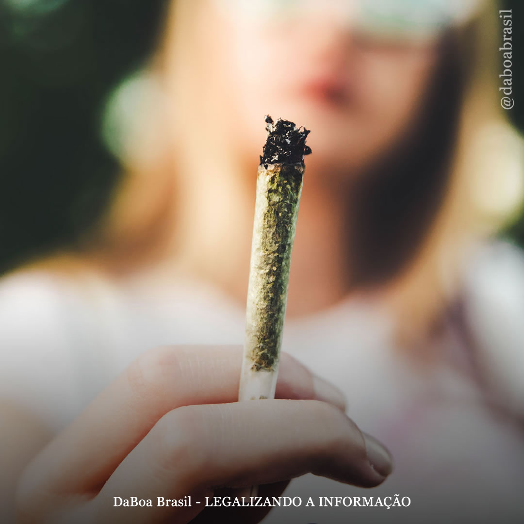 Estudo sobre uso adulto da maconha relata melhorias na saúde mental de usuários