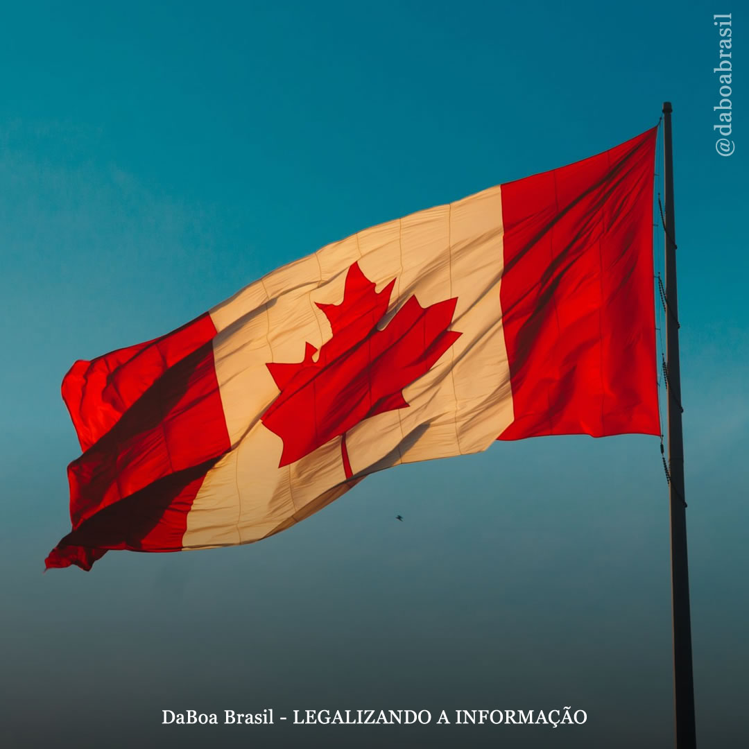 A legalização do uso adulto substituiu significativamente o mercado ilícito de maconha no Canadá, mostra análise