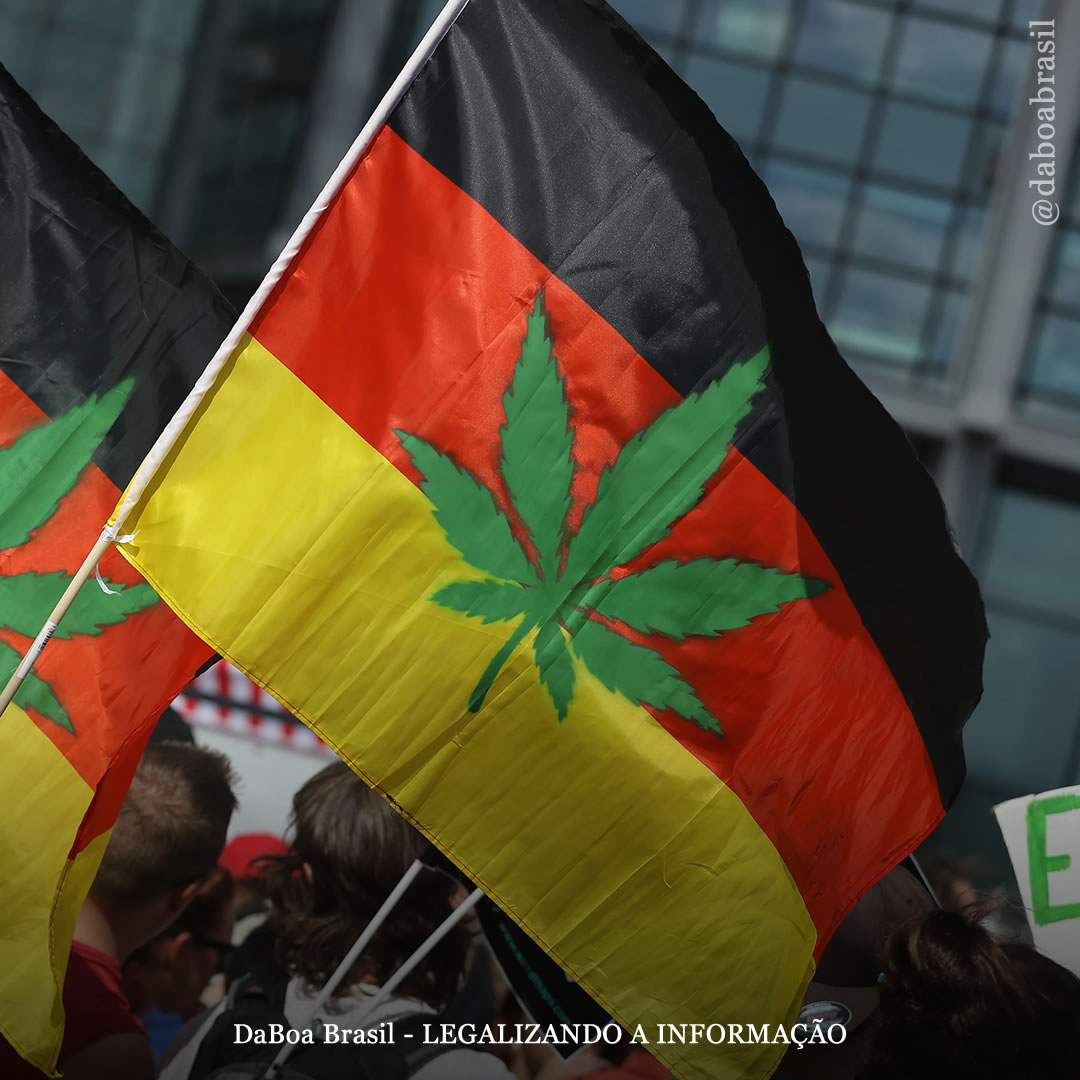 Alemanha: partidos da coalizão anunciam planos para avaliar, mas não revogar, a lei de legalização da maconha do país