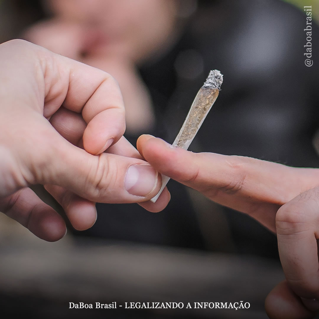 Canadá: legalização da maconha levou a um aumento no uso por adultos — mas a uma redução no uso indevido problemático, mostra estudo