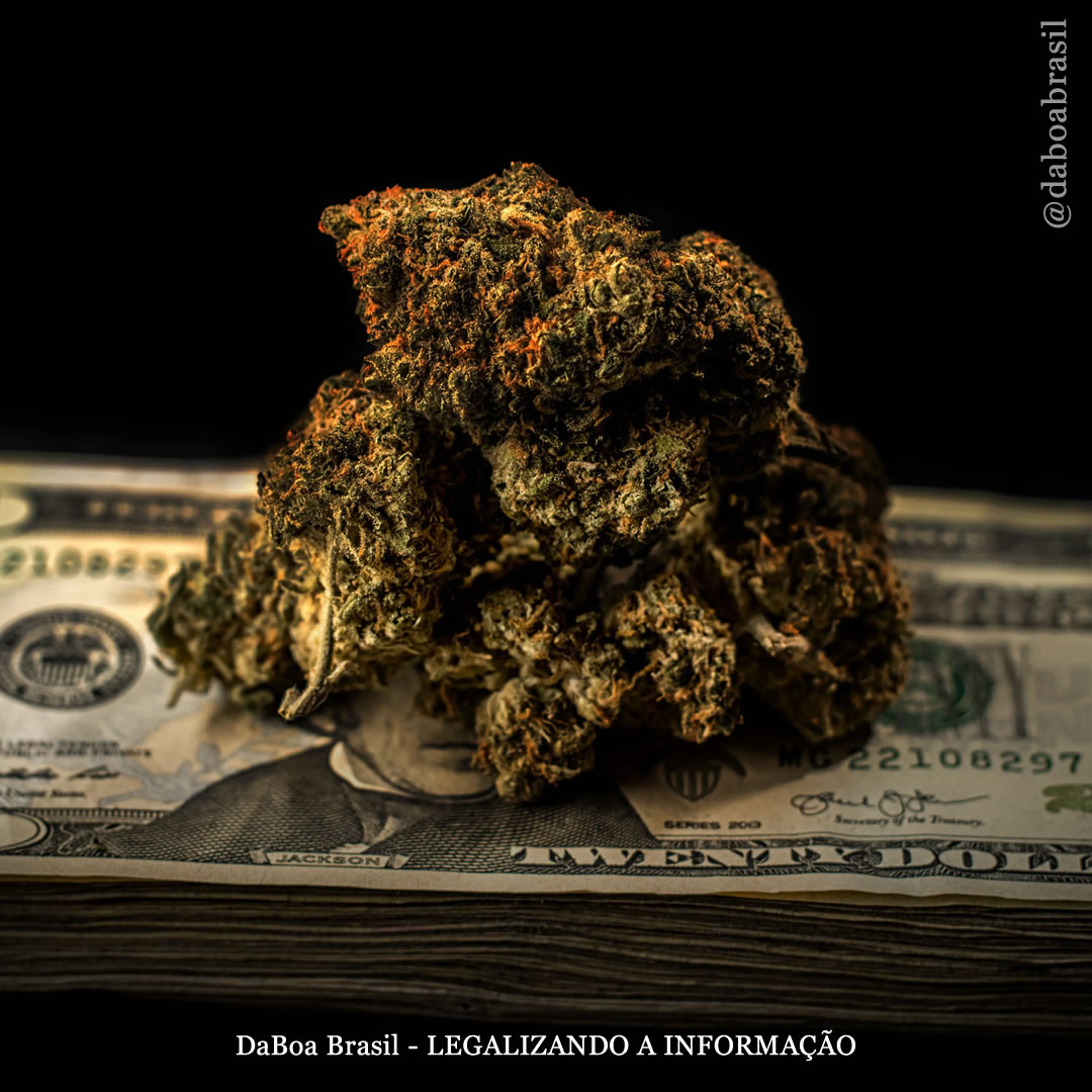 EUA: varejistas de bebidas alcoólicas dizem que somente eles devem poder vender legalmente produtos de maconha