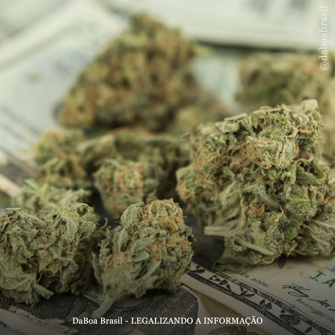 EUA: vendas de maconha em Nova York chegam perto de US$ 1,5 bilhão, com número de lojas quase triplicando no ano passado, diz relatório