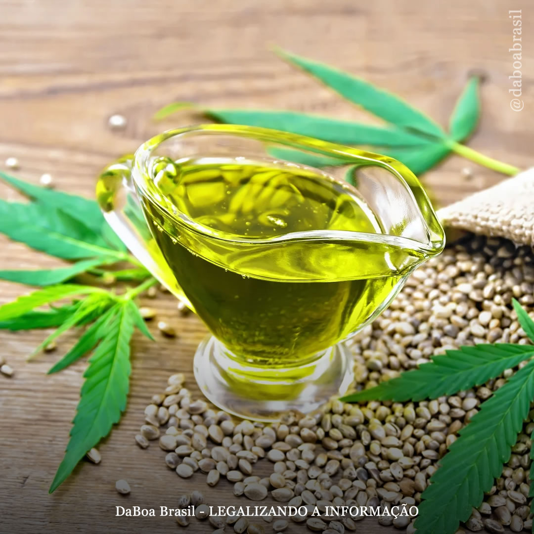 Aplicação tópica de óleo de semente de cannabis acelera a cicatrização de feridas, de acordo com estudo pré-clínico