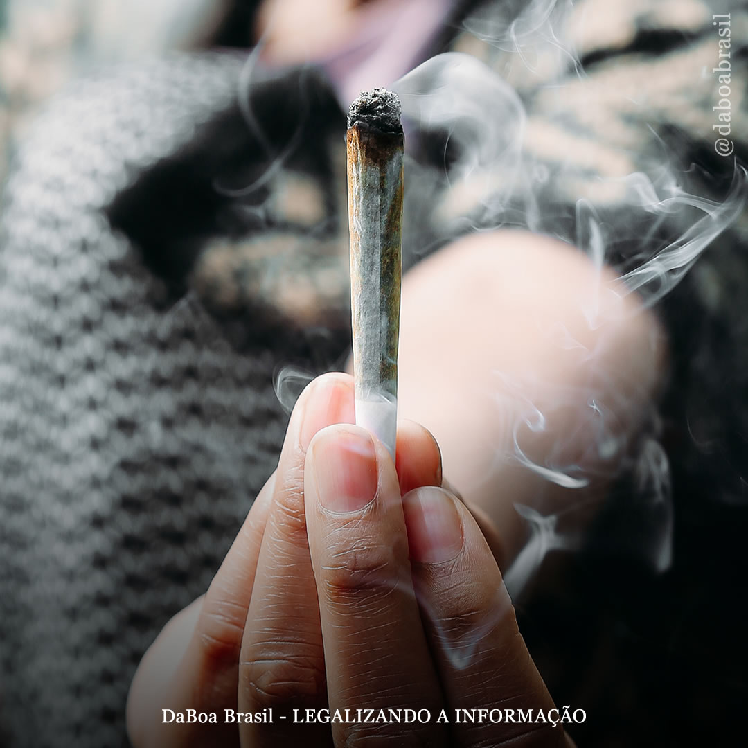 Fumar maconha não está relacionado ao aumento do risco de enfisema e outros danos relacionados ao tabaco, mostra análise