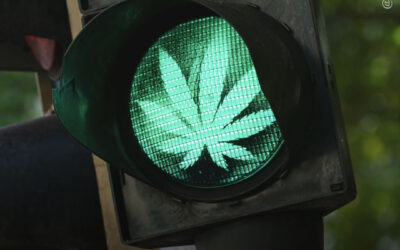 O álcool representa uma “ameaça maior à segurança rodoviária” do que a maconha, mostra análise