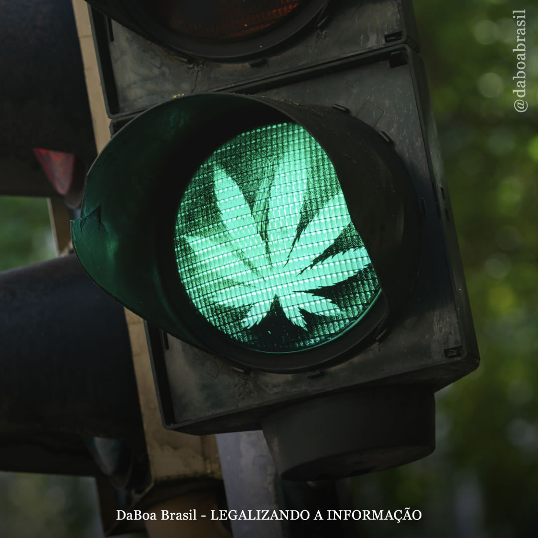 O álcool representa uma “ameaça maior à segurança rodoviária” do que a maconha, mostra análise