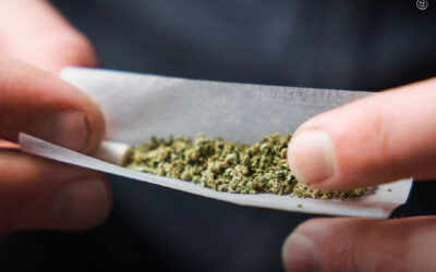 O uso de maconha não tem impacto adverso significativo na motilidade dos espermatozoides, diz estudo