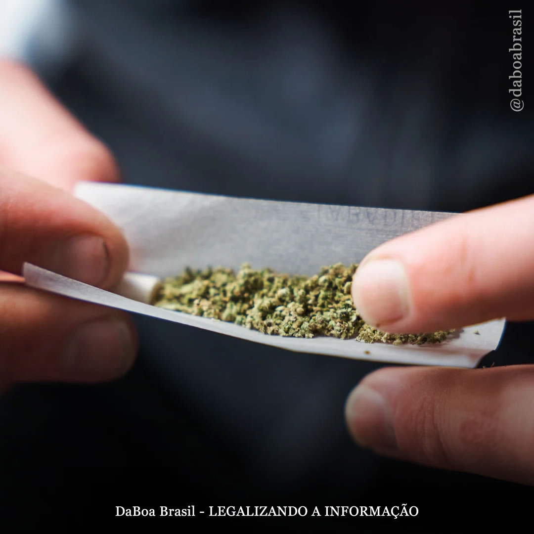 O uso de maconha não tem impacto adverso significativo na motilidade dos espermatozoides, diz estudo