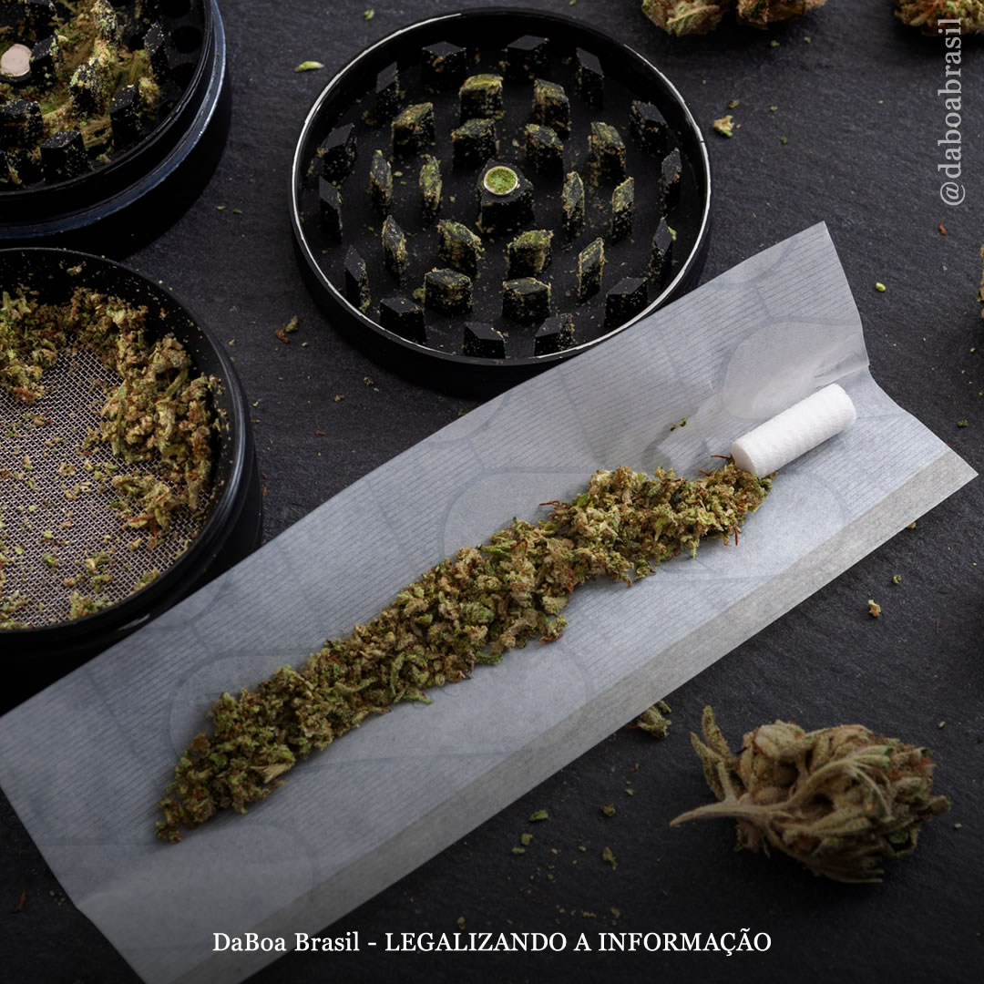 Teste de fluido oral “não é ideal” para determinar exposição à maconha, segundo análise