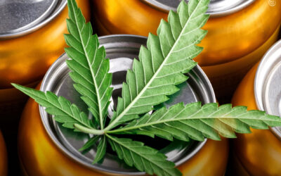 Vendas de álcool caem após legalização do uso adulto da maconha, mostra análise