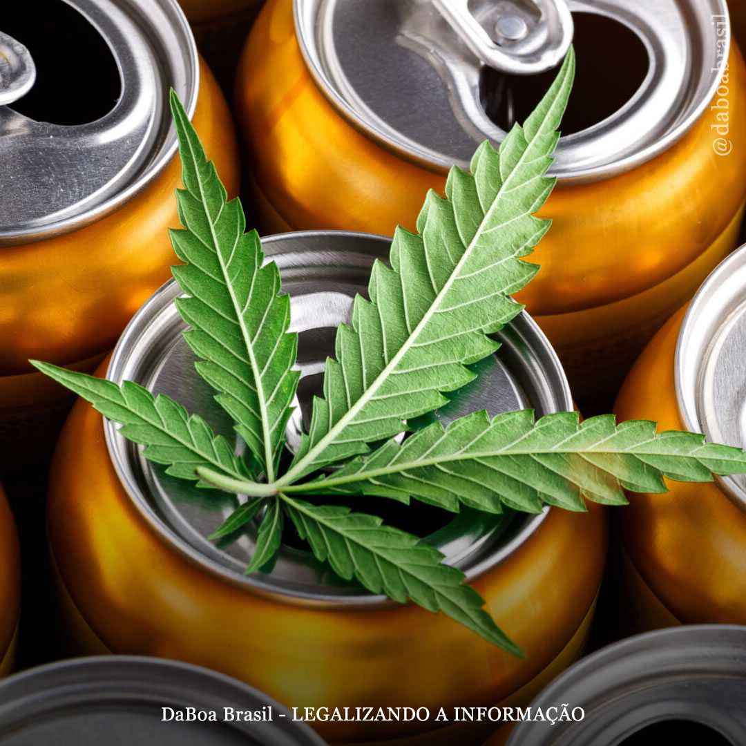 Vendas de álcool caem após legalização do uso adulto da maconha, mostra análise