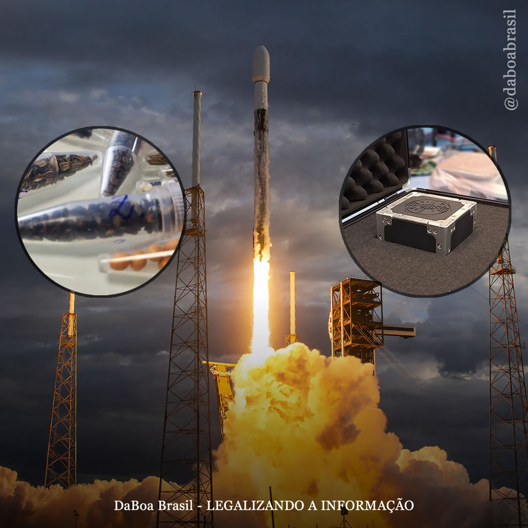 Cientistas enviam sementes de maconha ao espaço para testar sua resistência