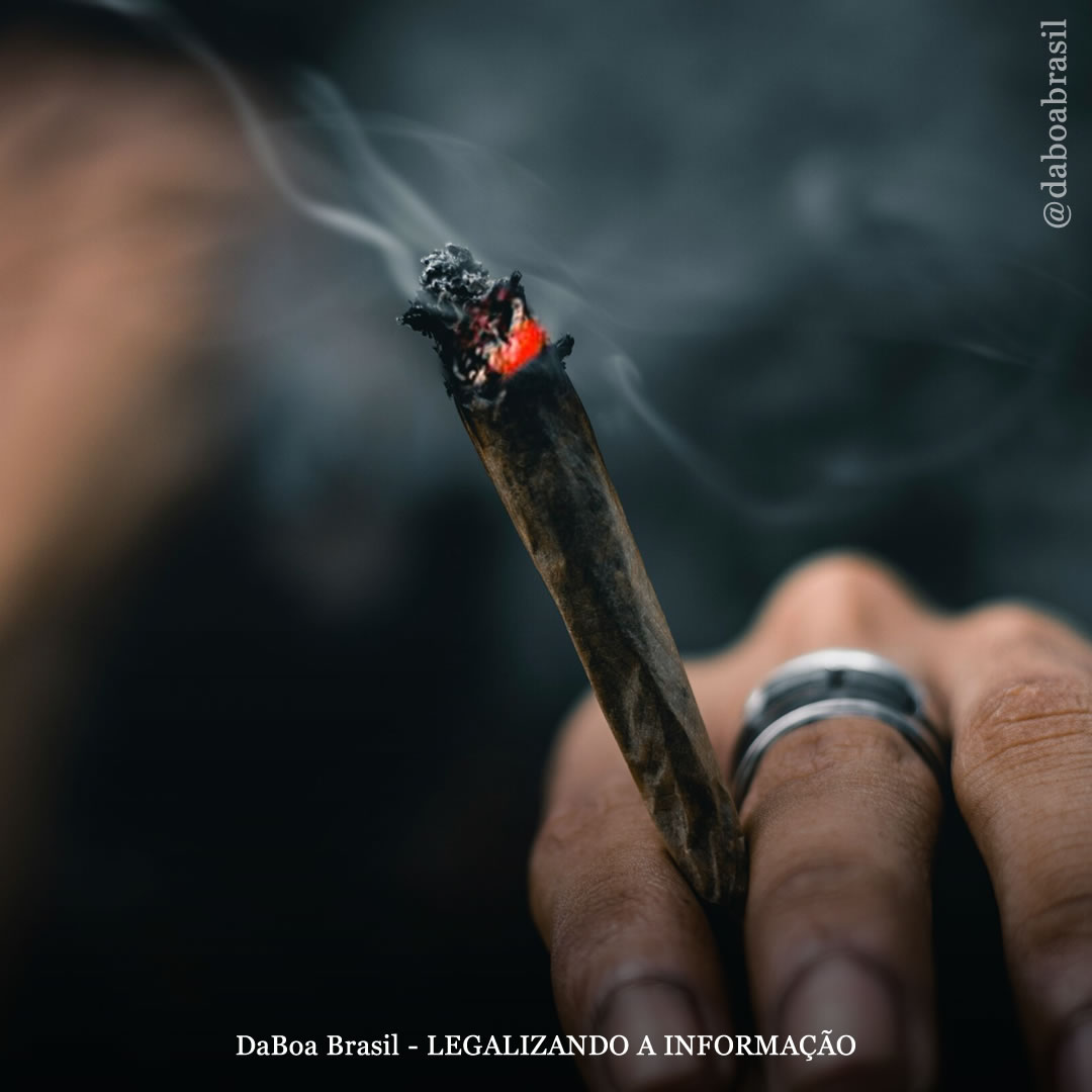 Não há relação significativa entre o uso atual de maconha e o aumento do risco de ataque cardíaco, diz estudo