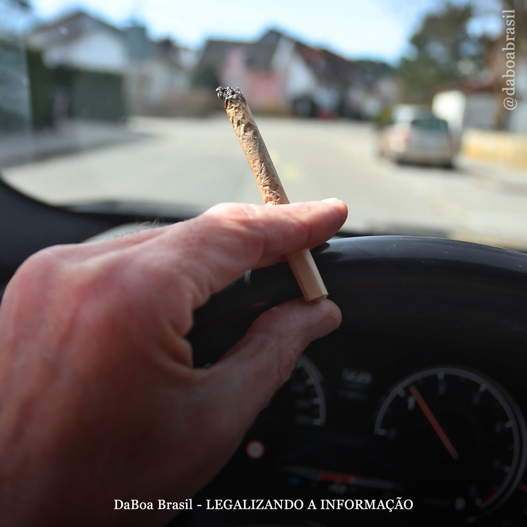 Usuários diários de maconha não apresentam mudanças significativas no desempenho de direção em comparação com não usuários, diz estudo