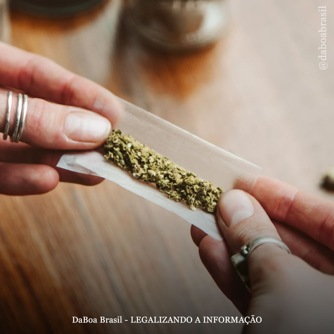 Autoridades de Nova Jersey (EUA) agora aceitam inscrições para salas de consumo de maconha em todos os dispensários
