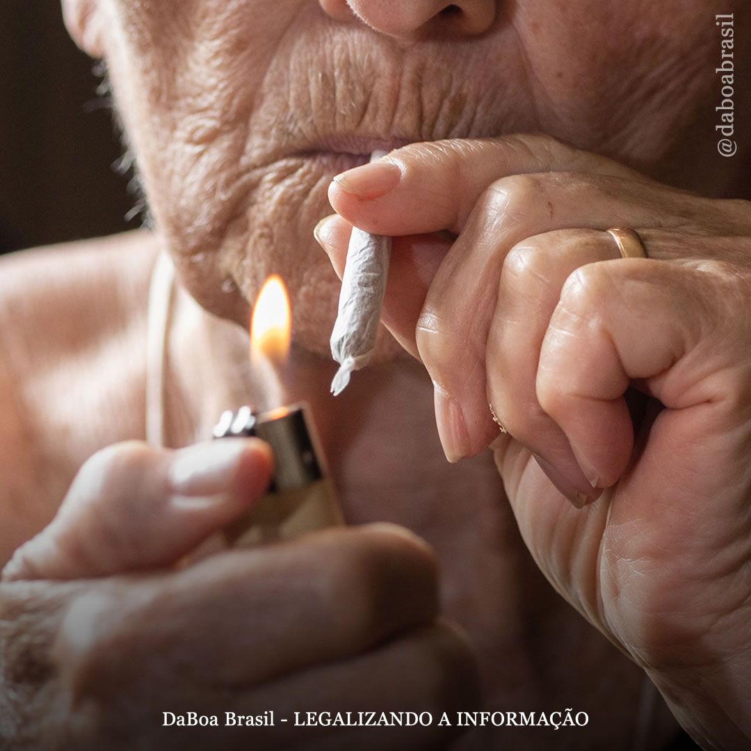 Consumo de maconha não está associado a risco elevado de eventos cardiovasculares adversos em idosos, diz estudo