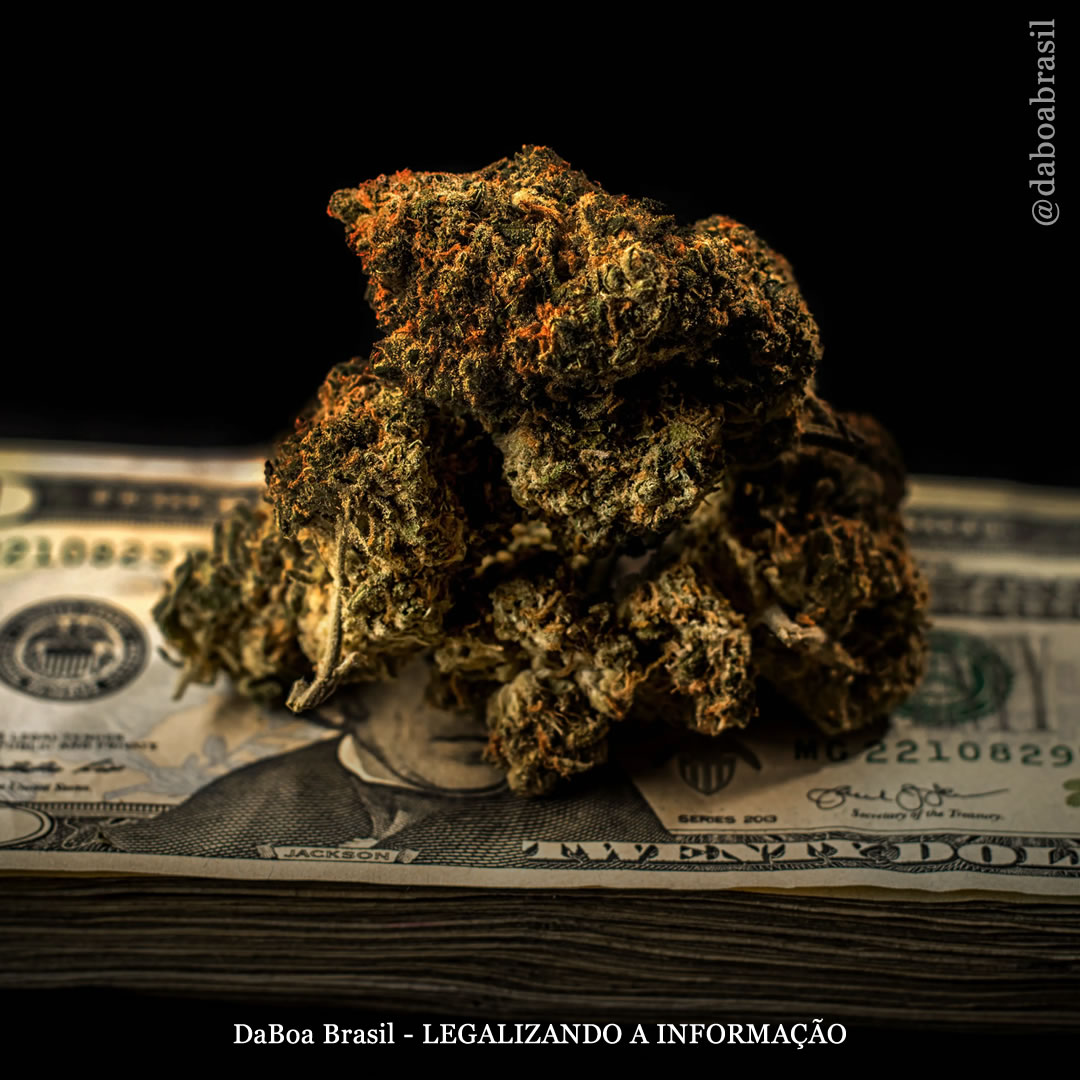 EUA: Massachusetts bate recorde de vendas de maconha para uso adulto, ultrapassando US$ 8 bilhões desde o lançamento do mercado