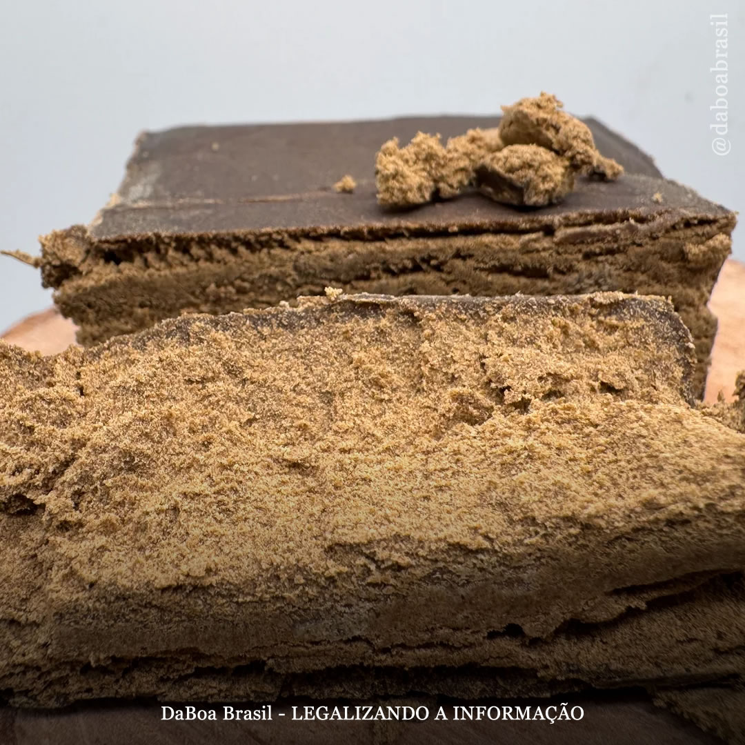 Ice-O-Lator ou Bubble Hash: o que é e como fazer um ice de qualidade?