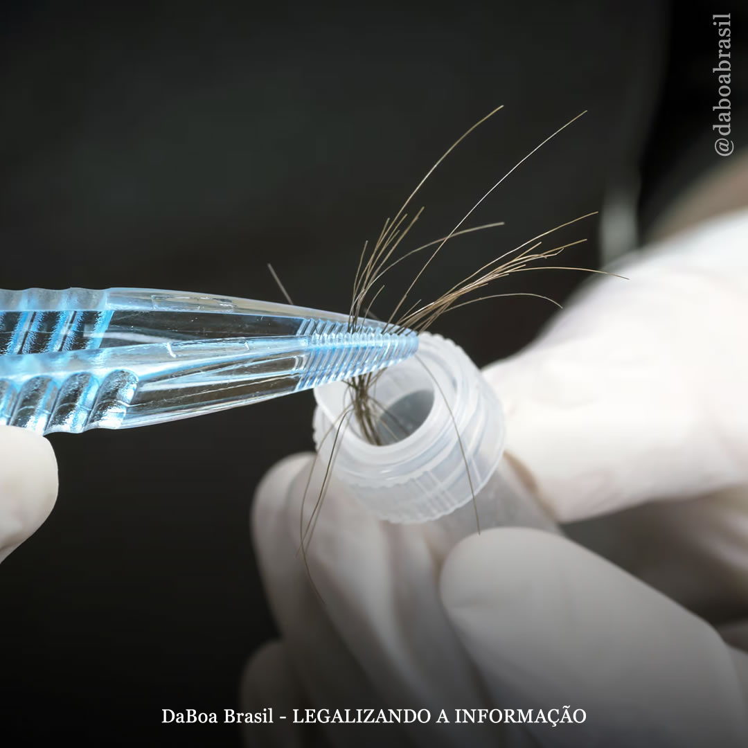 Teste de folículo capilar detecta exposição passiva à fumaça de maconha, mostra análise