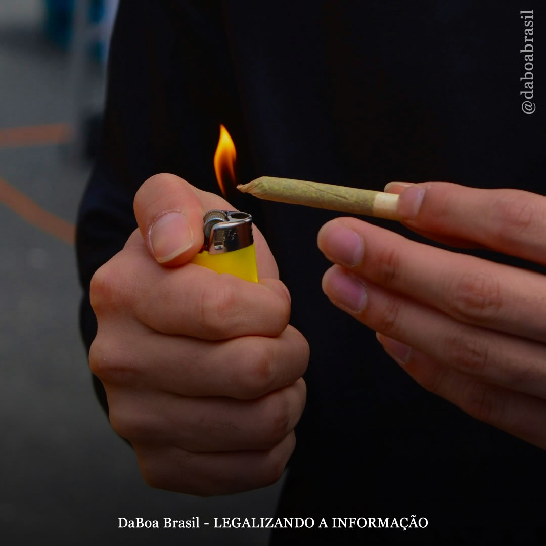 Estudo apoiado pelo governo japonês não encontra evidências de que a maconha seja uma “droga de entrada”