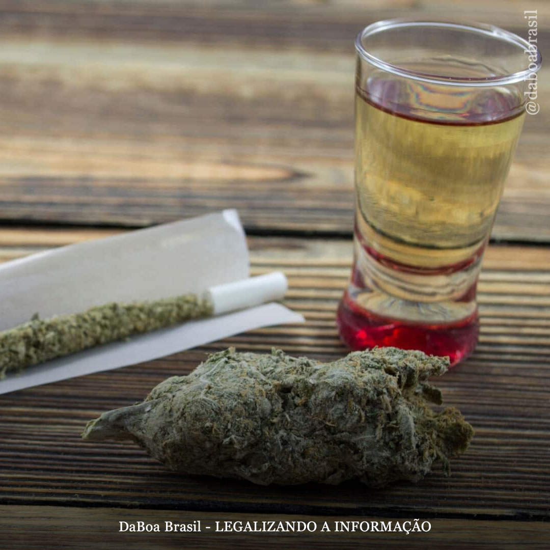 Legalização do uso adulto da maconha está associada a menor consumo de álcool, mostra análise