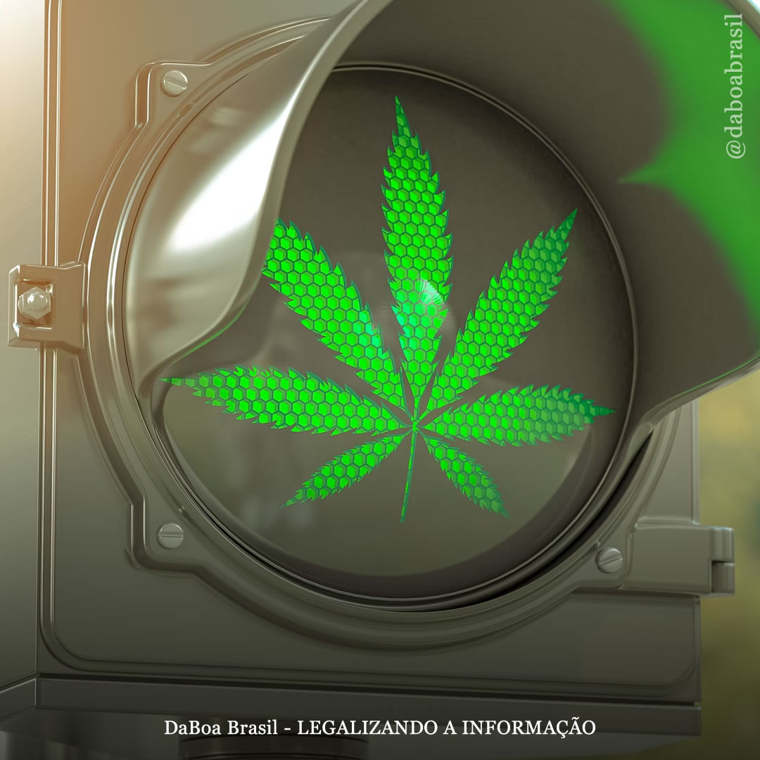 Lojas de maconha para uso adulto não estão associadas ao aumento da prevalência de acidentes com veículos motorizados, mostra análise