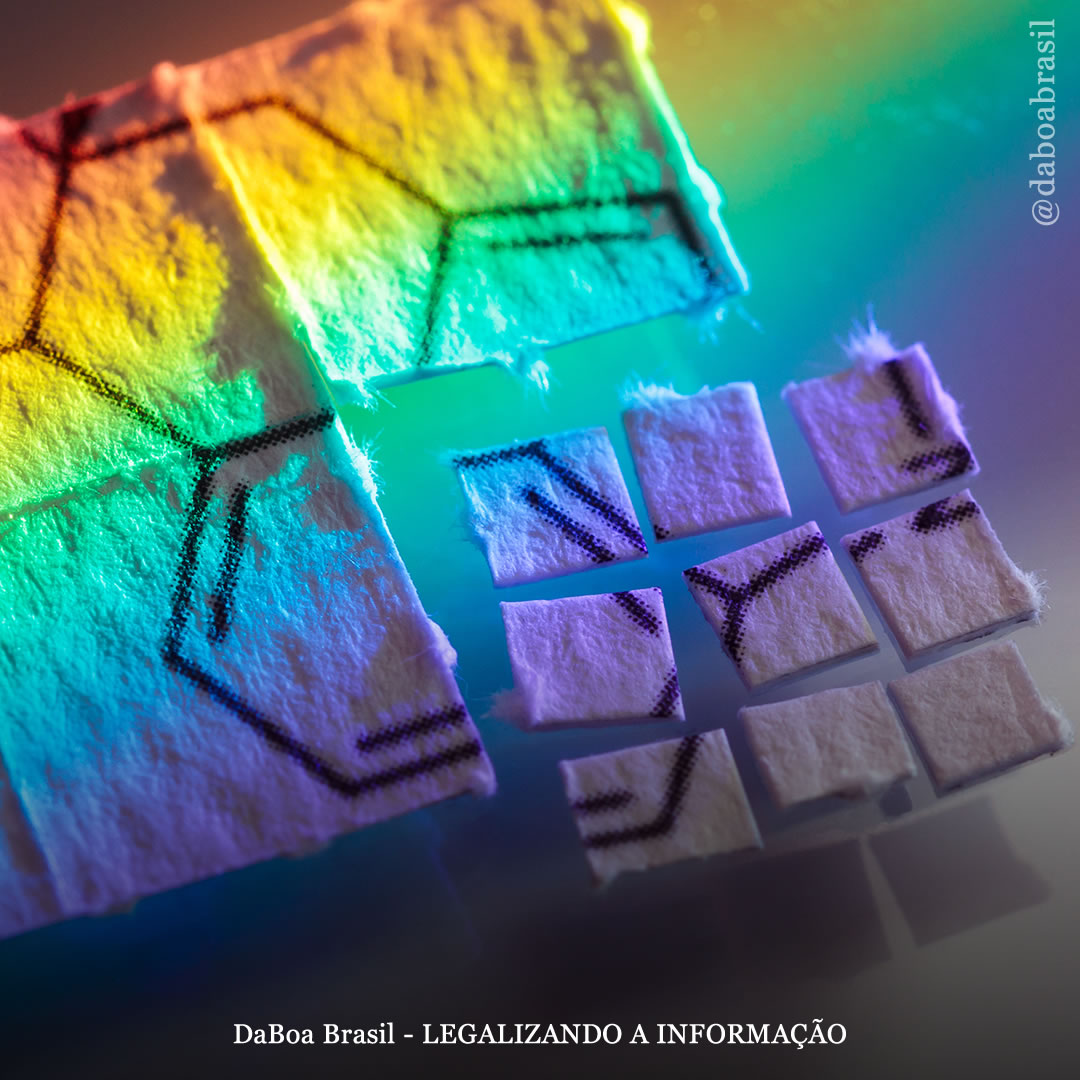 Microdosagem de LSD pode ajudar a tratar ansiedade de separação em cães, sugere novo estudo