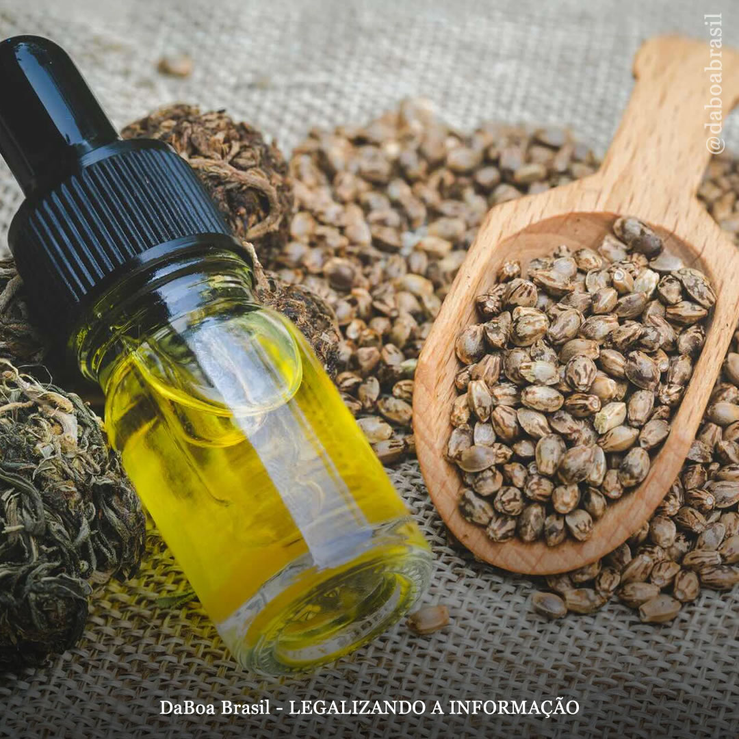 Óleo de semente de maconha tem “eficácia superior” na cicatrização de feridas em comparação com antibióticos convencionais, mostra estudo