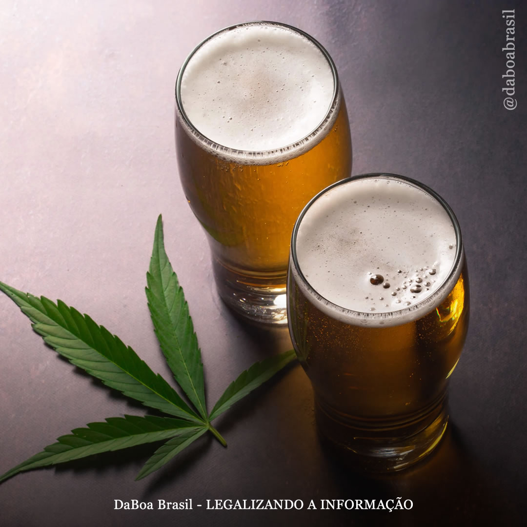 Uso de álcool, mas não de maconha, está associado a risco elevado de gravidez indesejada, mostra análise