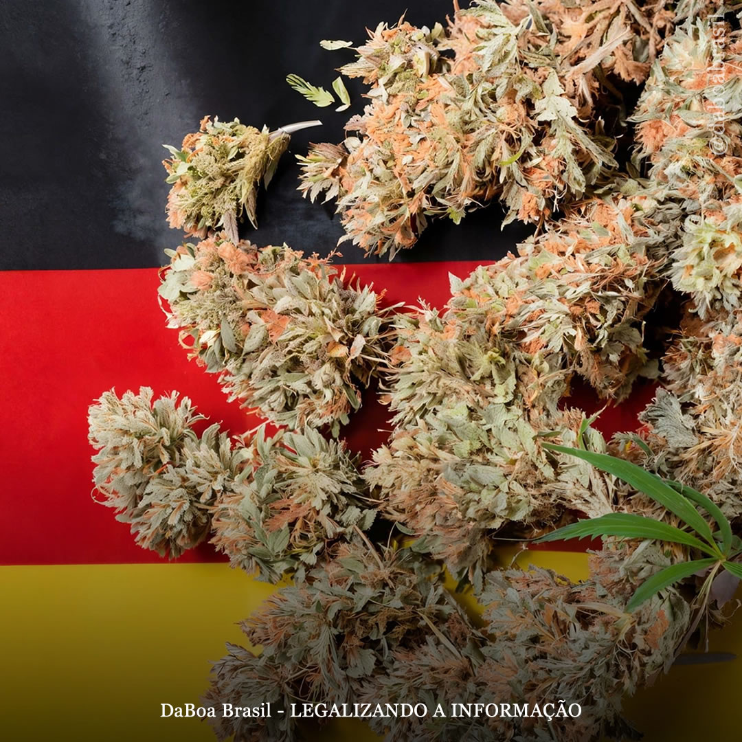 Consumo de maconha por adolescentes na Alemanha diminuiu após legalização do uso adulto, mostra estudo