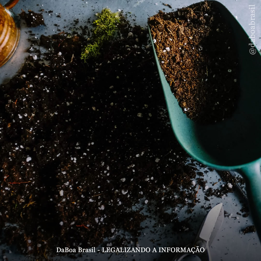 Dicas de cultivo: faça o melhor substrato para suas plantas de maconha